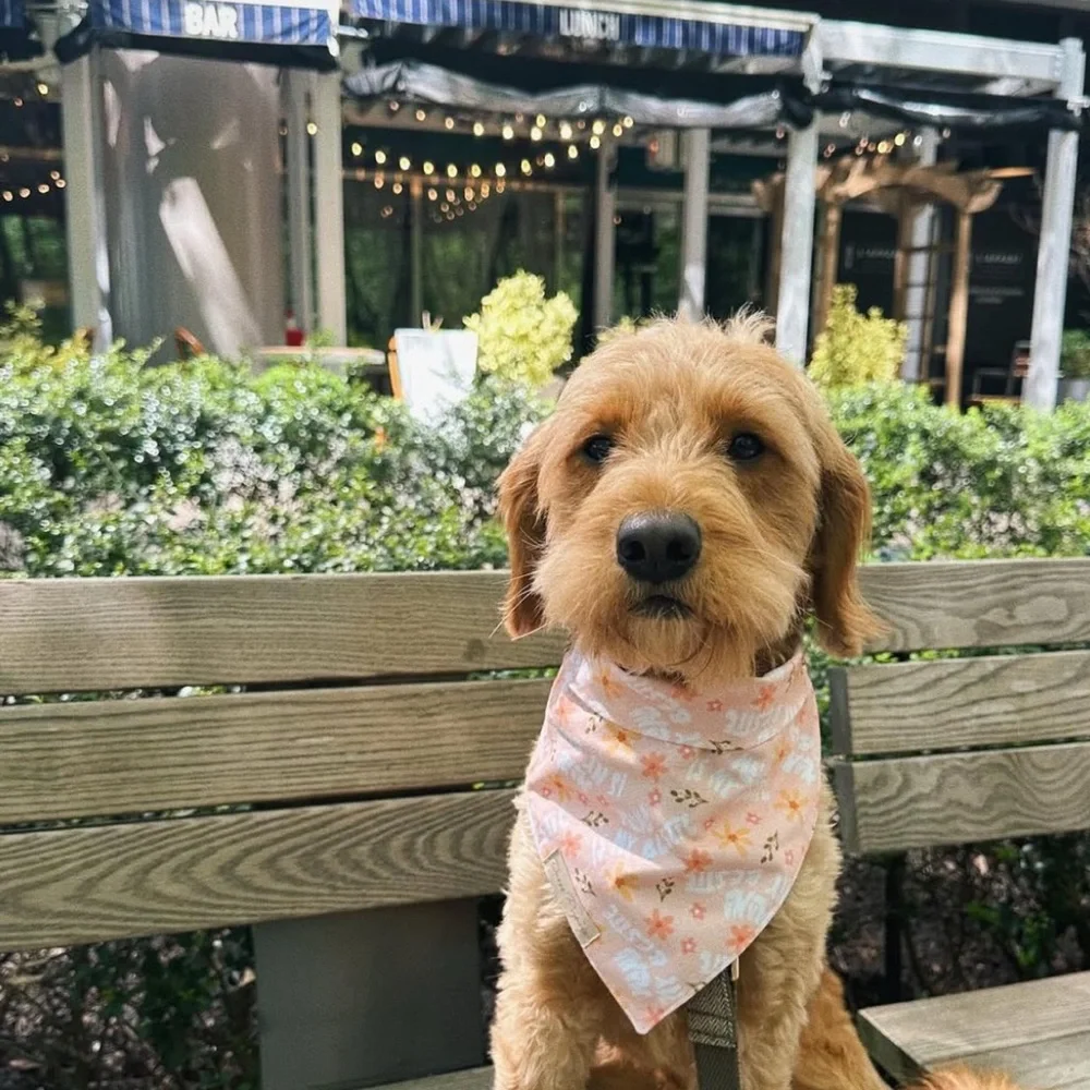 Floral Handmade Dog Bandana – “Mama is My Bestie” – Size S-M